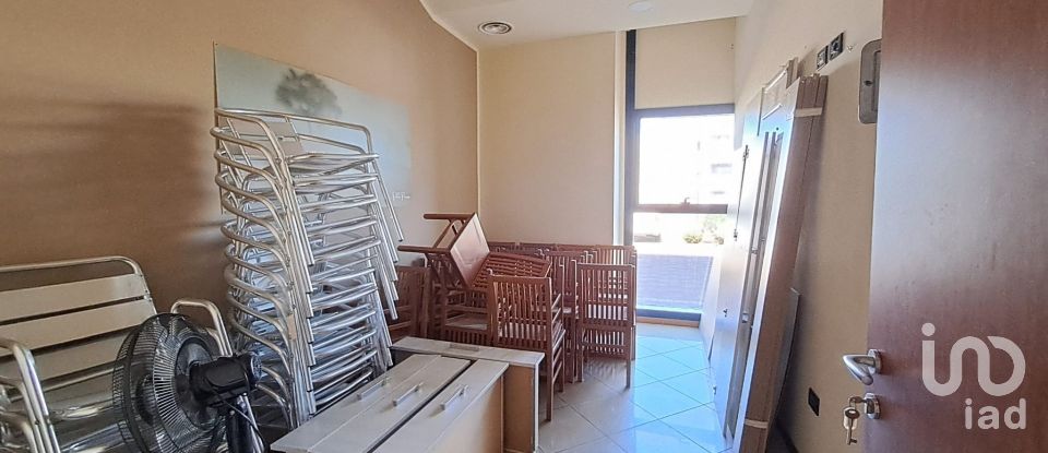 Commercial walls of 300 m² in Badia Polesine (45021)