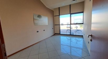 Commercial walls of 300 m² in Badia Polesine (45021)