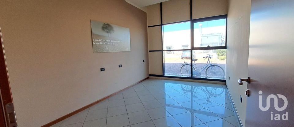 Commercial walls of 300 m² in Badia Polesine (45021)