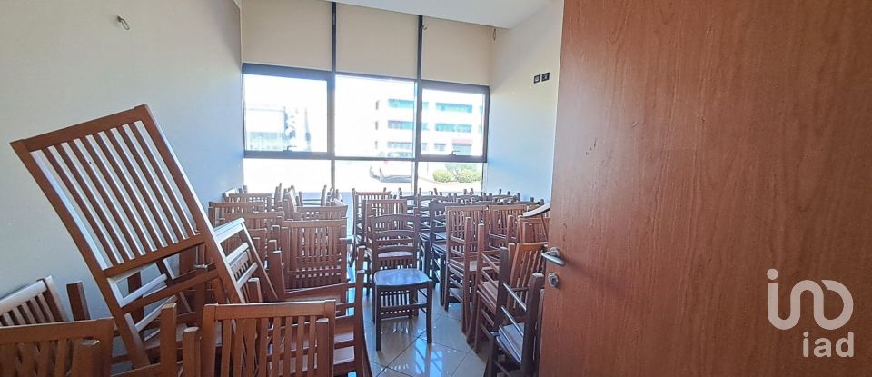 Commercial walls of 300 m² in Badia Polesine (45021)