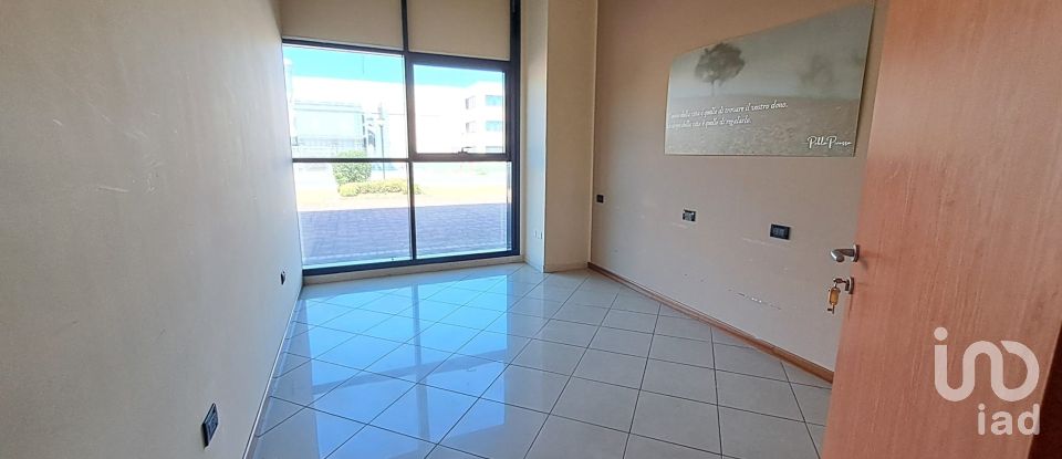 Commercial walls of 300 m² in Badia Polesine (45021)