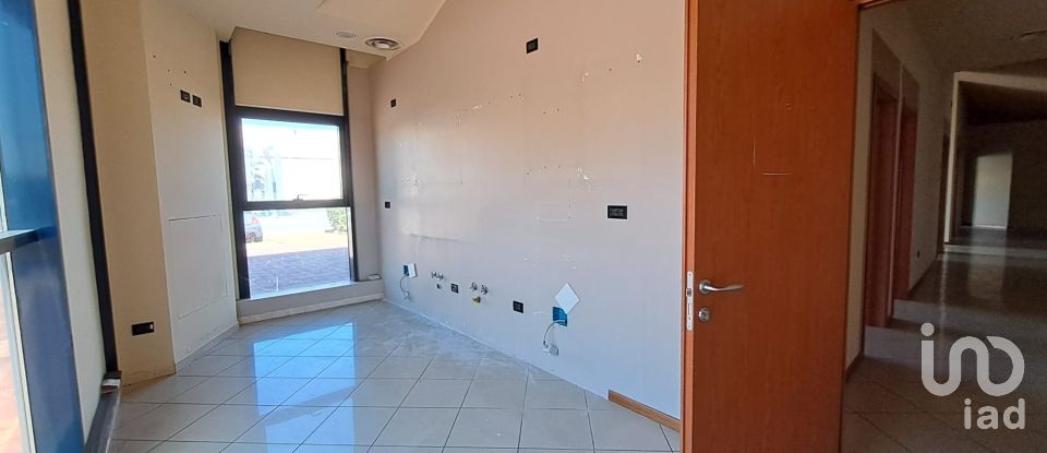Commercial walls of 300 m² in Badia Polesine (45021)