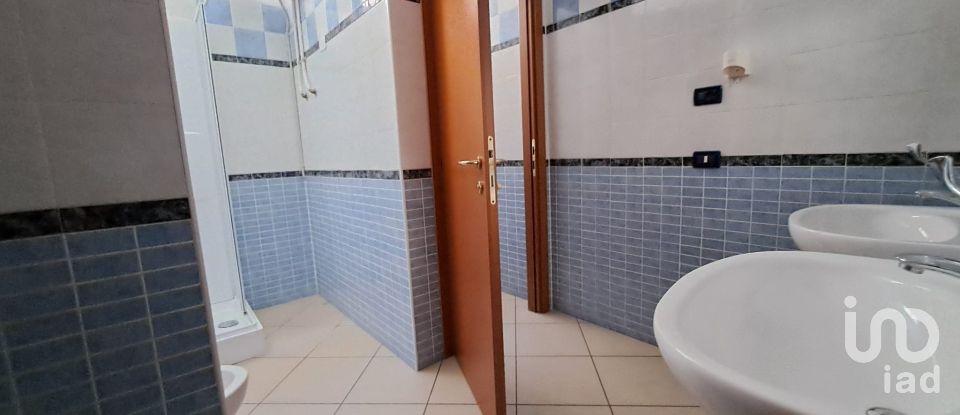 Commercial walls of 300 m² in Badia Polesine (45021)