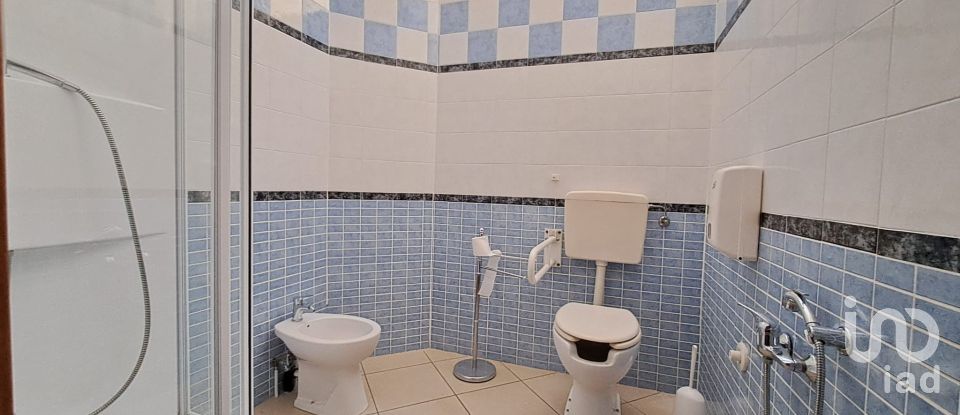 Commercial walls of 300 m² in Badia Polesine (45021)