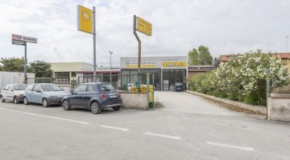 Capannone di 500 m² in Loreto (60025)