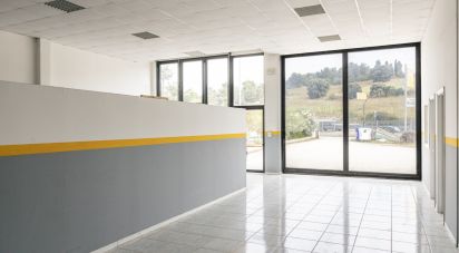 Capannone di 500 m² in Loreto (60025)