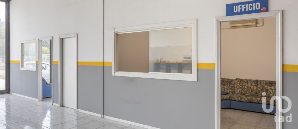 Warehouse of 500 m² in Loreto (60025)