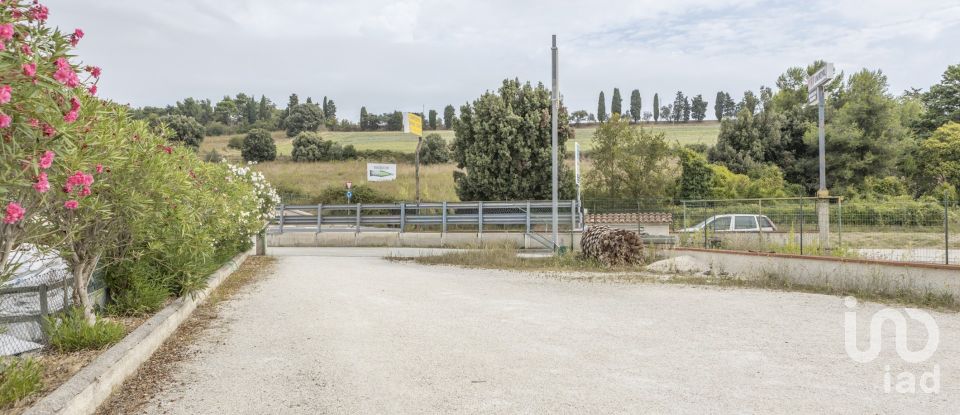 Warehouse of 500 m² in Loreto (60025)