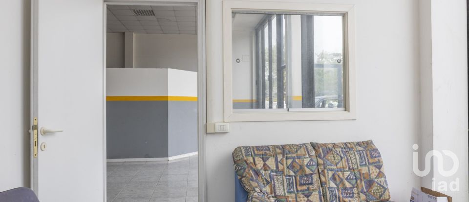 Warehouse of 500 m² in Loreto (60025)