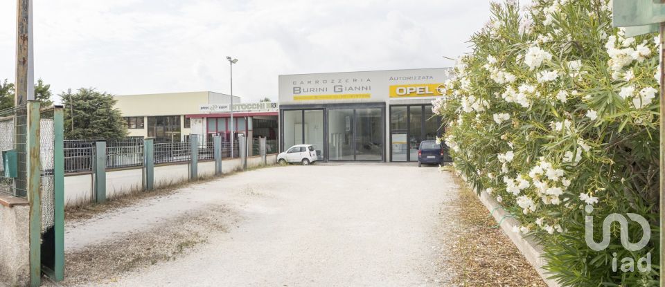 Warehouse of 500 m² in Loreto (60025)