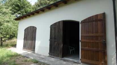 Terreno agricolo di 10.000 m² in Sesta Godano (19020)