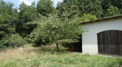 Terreno agricolo di 10.000 m² in Sesta Godano (19020)