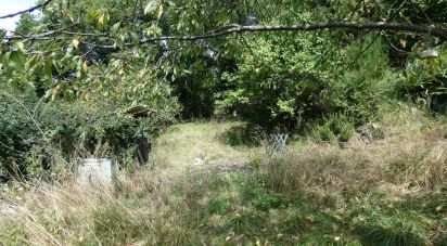 Terreno agricolo di 10.000 m² in Sesta Godano (19020)