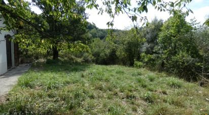 Terreno agricolo di 10.000 m² in Sesta Godano (19020)