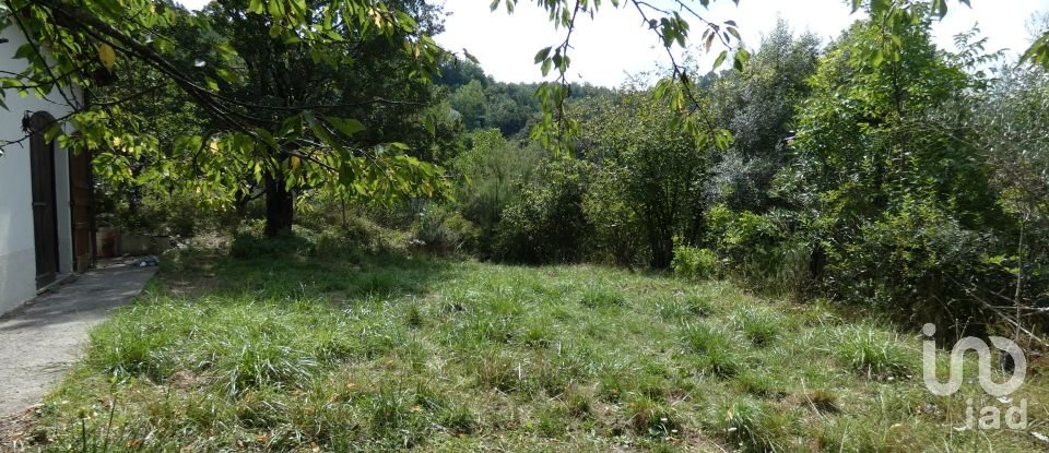 Farm land of 10,000 m² in Sesta Godano (19020)