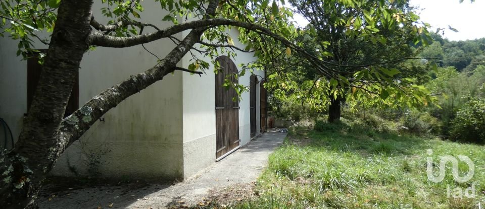 Farm land of 10,000 m² in Sesta Godano (19020)