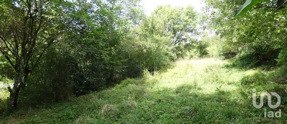 Farm land of 10,000 m² in Sesta Godano (19020)