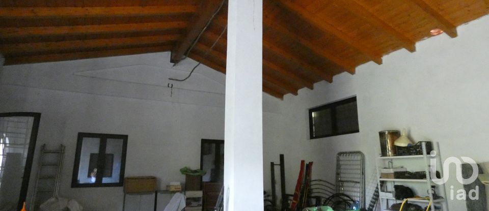 Farm land of 10,000 m² in Sesta Godano (19020)