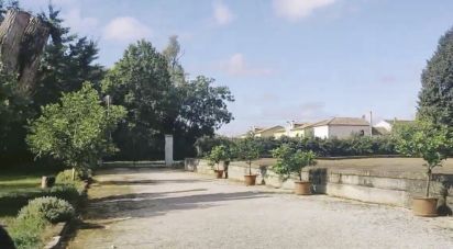 Casale 0 locali di 700 m² in Villadose (45010)