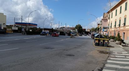 Negozio / locale commerciale di 161 m² in Genova (16155)