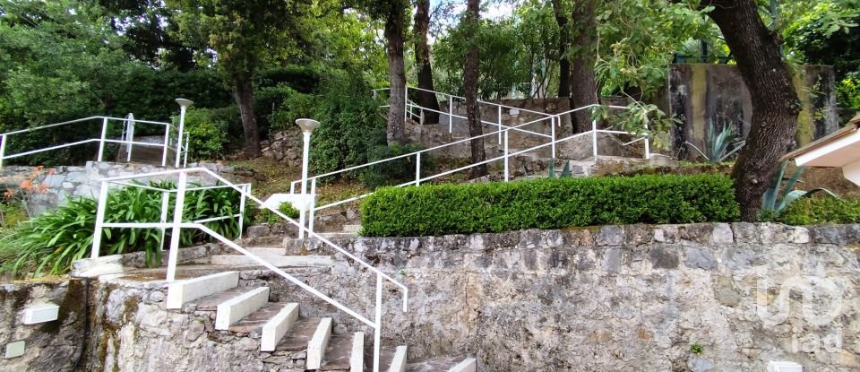 Casa indipendente / Villa 7 locali di 130 m² in Maratea (85046)