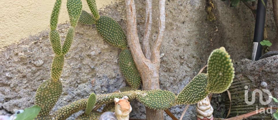 Trilocale di 60 m² a Savona (17100)