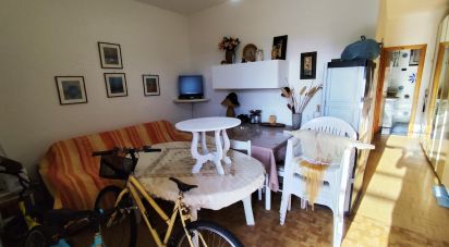 Quadrilocale di 49 m² a Santa Maria del Cedro (87020)