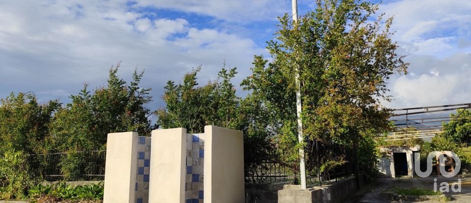 Quadrilocale di 49 m² a Santa Maria del Cedro (87020)