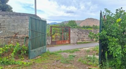 Terreno agricolo di 2.584 m² in Nocera Superiore (84015)