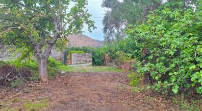 Terreno agricolo di 2.584 m² in Nocera Superiore (84015)