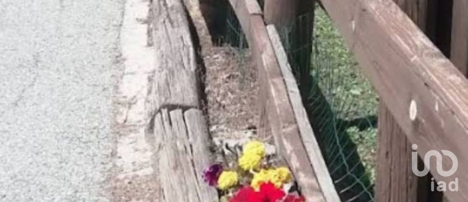 Trilocale di 38 m² a Pragelato (10060)