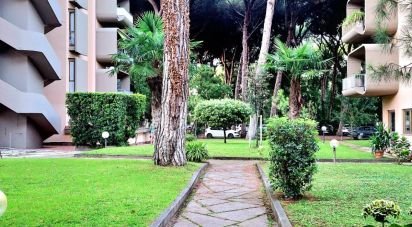Bilocale di 35 m² a Viareggio (55049)