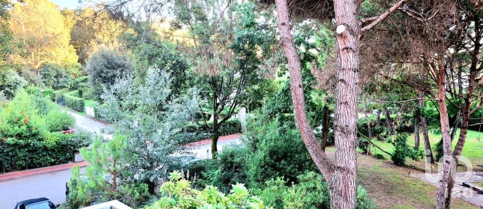 Bilocale di 35 m² a Viareggio (55049)