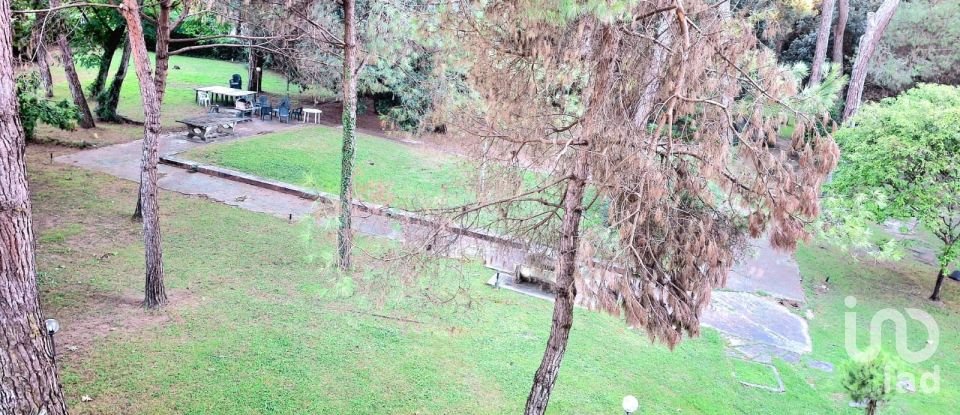 Bilocale di 35 m² a Viareggio (55049)