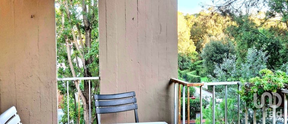 Bilocale di 35 m² a Viareggio (55049)