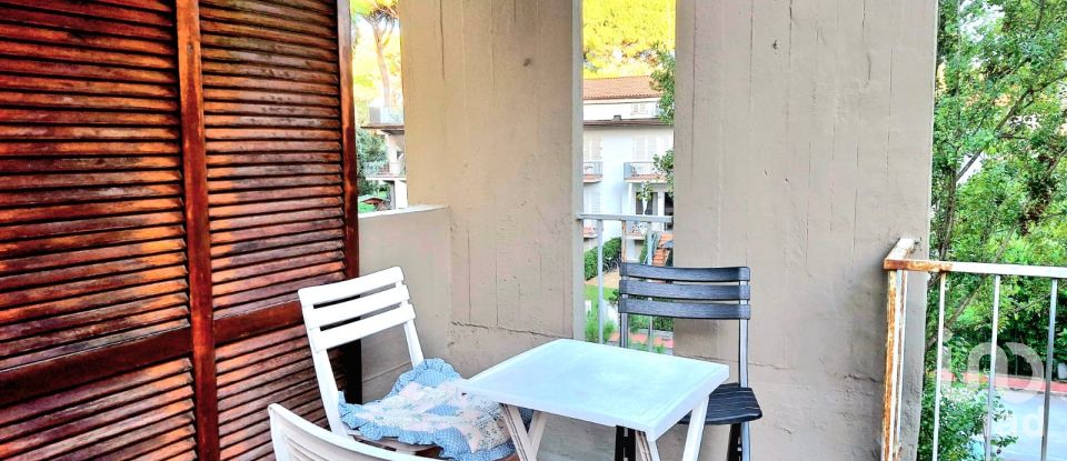 Bilocale di 35 m² a Viareggio (55049)
