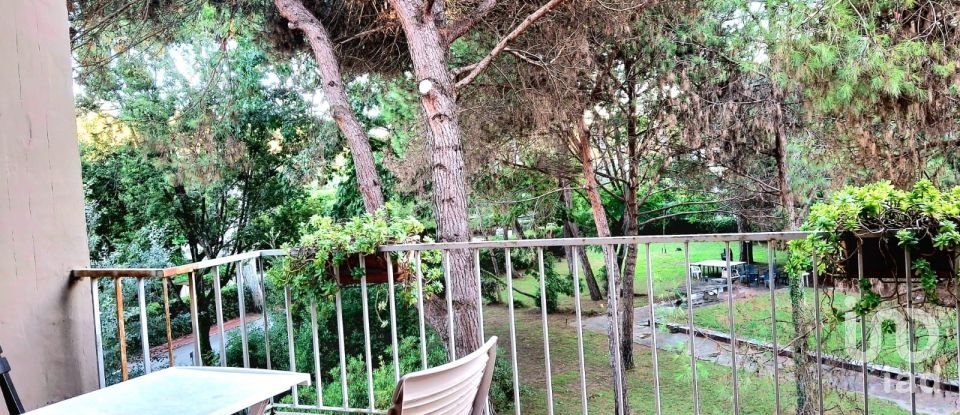 Bilocale di 35 m² a Viareggio (55049)