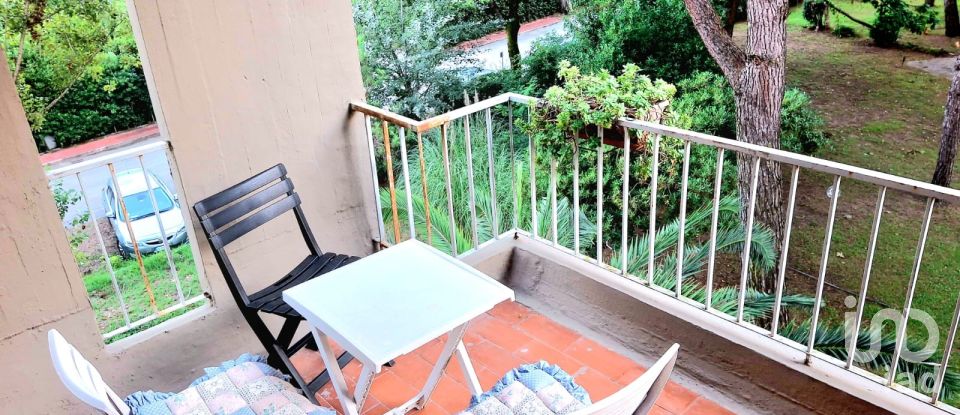 Bilocale di 35 m² a Viareggio (55049)