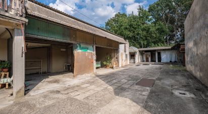 Villa Bifamiliare 6 locali di 335 m² in Argenta (44011)
