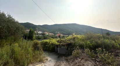 Terreno di 7.500 m² in Loano (17025)