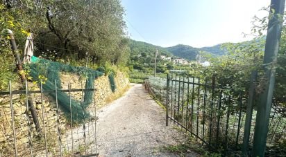 Terreno di 7.500 m² in Loano (17025)