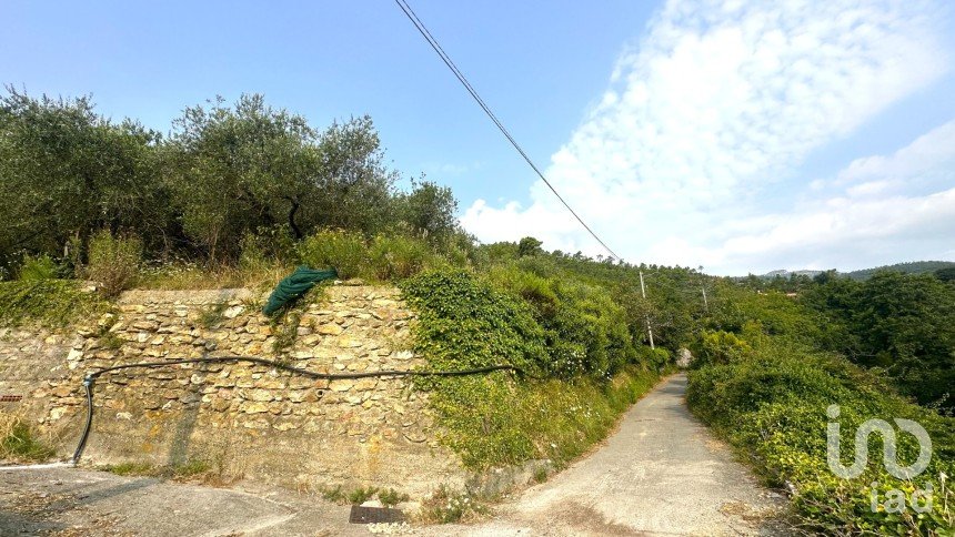 Terreno di 7.500 m² in Loano (17025)