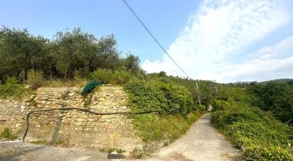 Terreno di 7.500 m² in Loano (17025)
