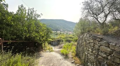 Terreno di 7.500 m² in Loano (17025)