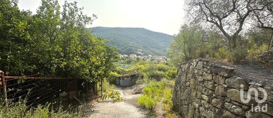 Terreno di 7.500 m² in Loano (17025)