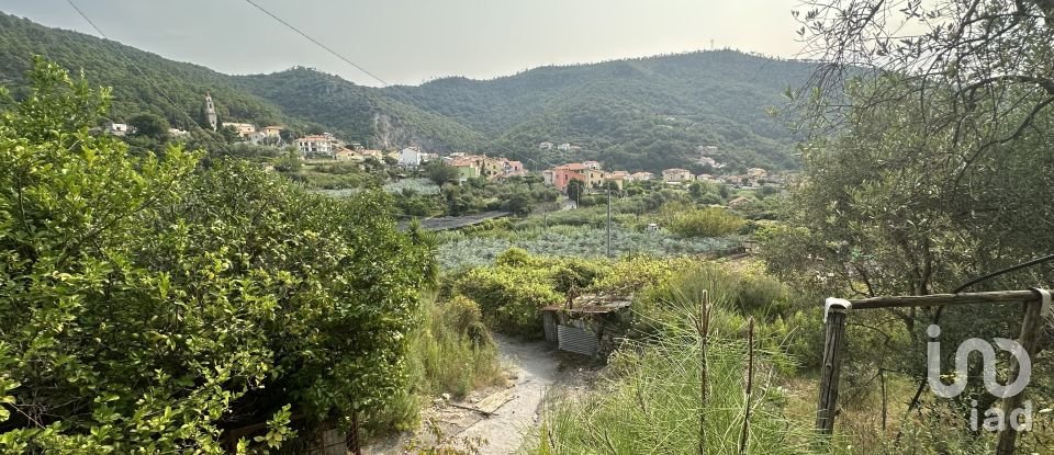 Terreno di 7.500 m² in Loano (17025)