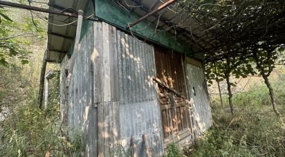 Terreno di 7.500 m² in Loano (17025)