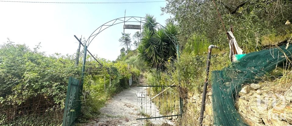 Terreno di 7.500 m² in Loano (17025)