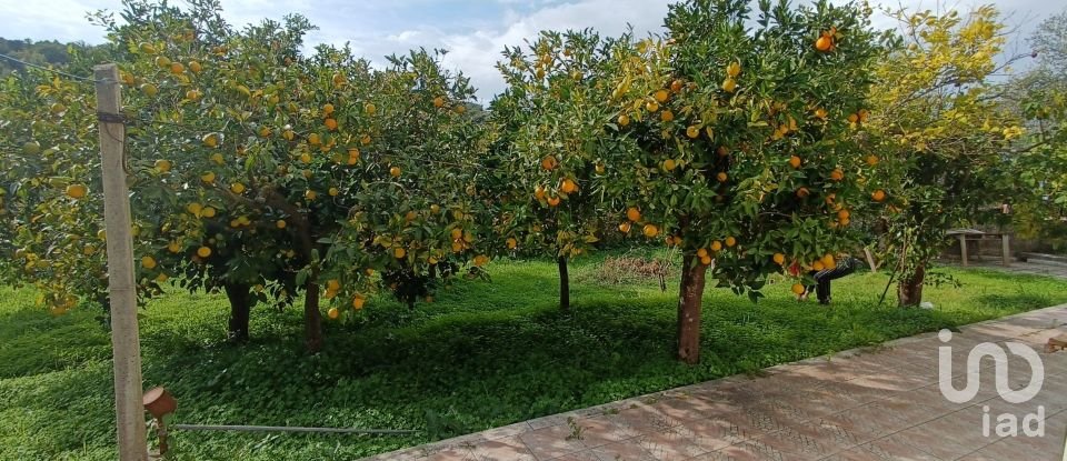 House 18 rooms of 270 m² in Santa Maria del Cedro (87020)