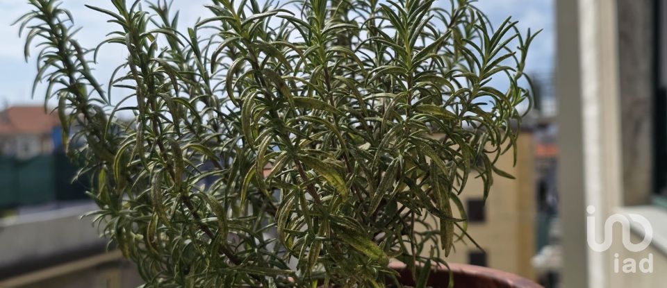 Quadrilocale di 99 m² a Savona (17100)